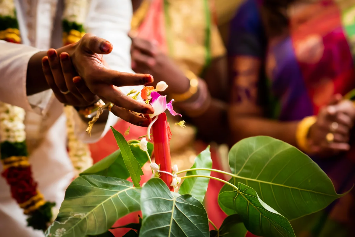 Suria & Vinodhini photograph by Jacob's Artography