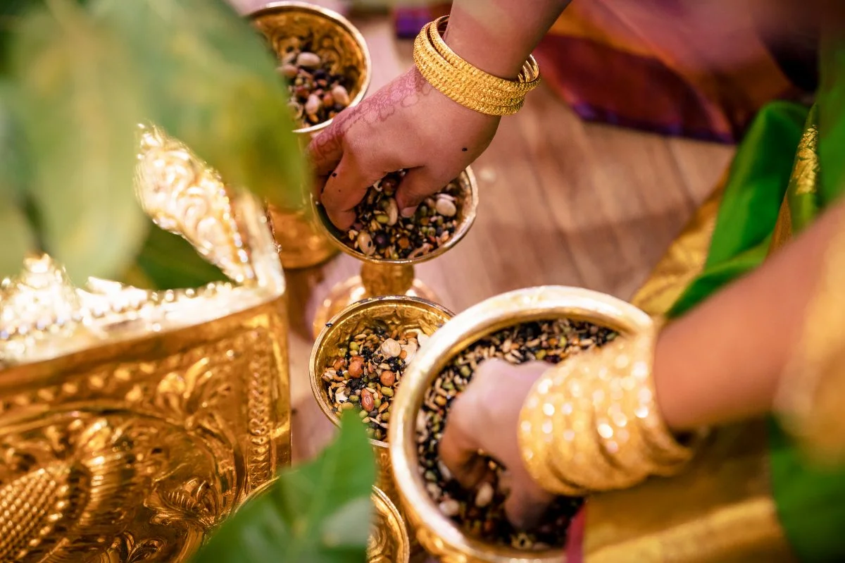 Chandresh & Maha photograph by Jacob's Artography